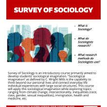 AUTUMN 2024 SOC 110 Survey of Sociology with Rosalind Kichler